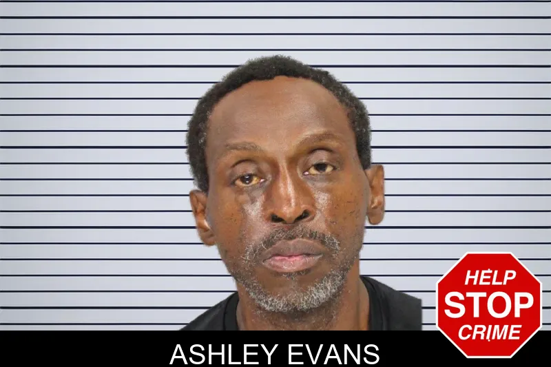 Ashley Evans mugshot