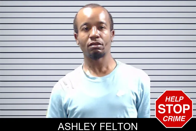 Ashley Felton mugshot