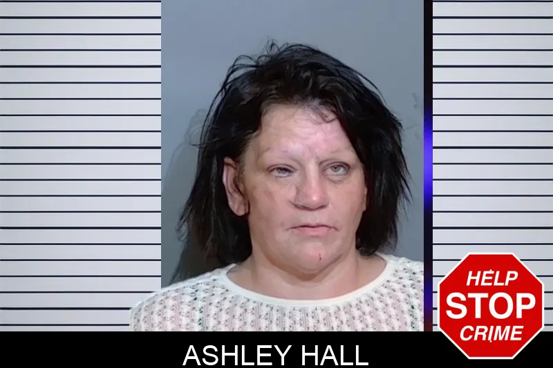 Ashley Hall mugshot