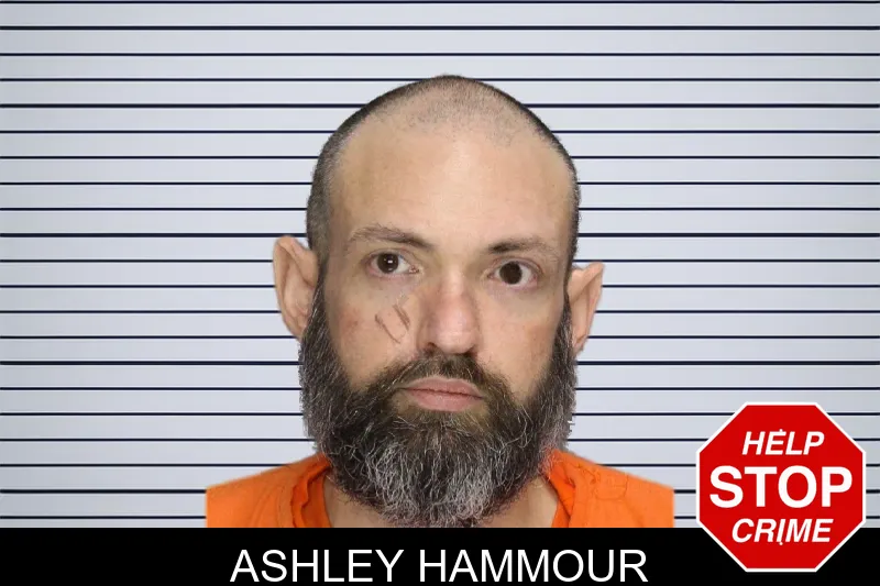 Ashley Hammour mugshot