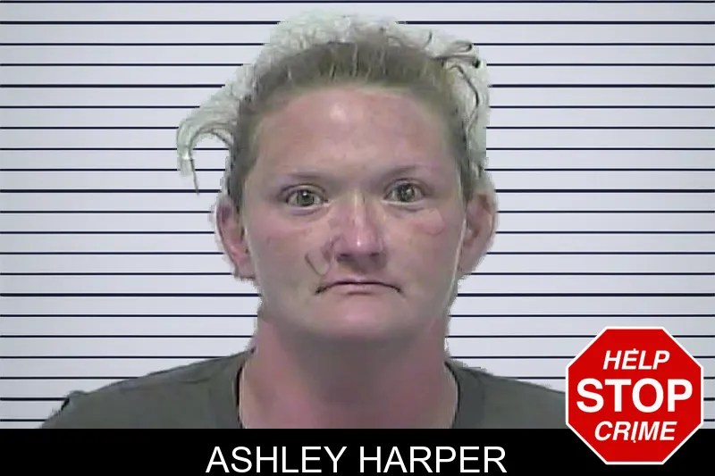 Ashley Harper mugshot