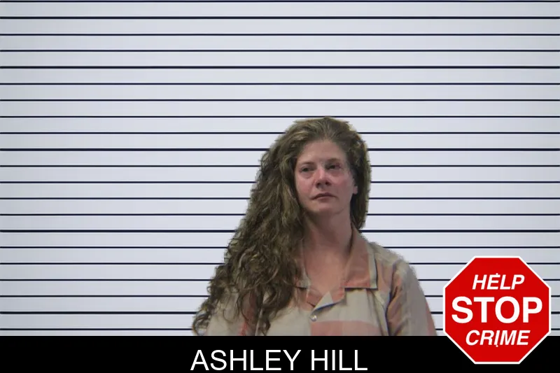Ashley Hill mugshot