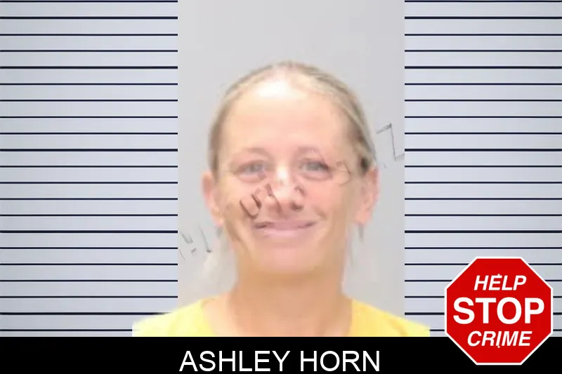 Ashley Horn mugshot