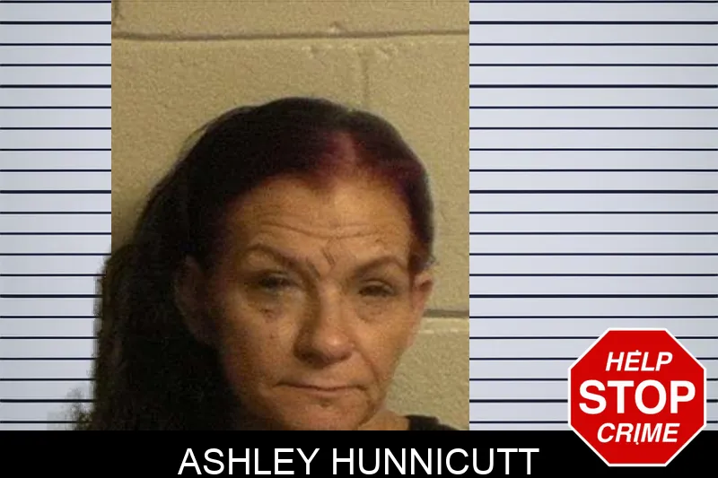 Ashley Hunnicutt mugshot