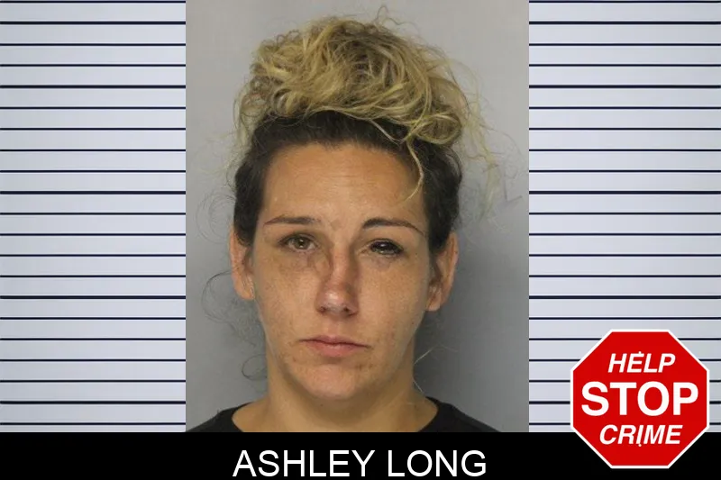 Ashley Long mugshot – Hall County , Georgia Ashley Long mugshot