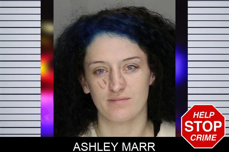 Ashley Marr mugshot