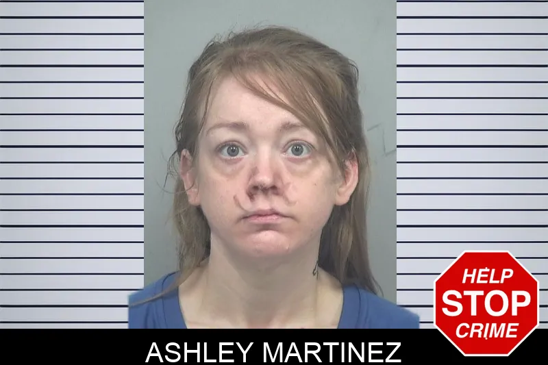 Ashley Martinez mugshot