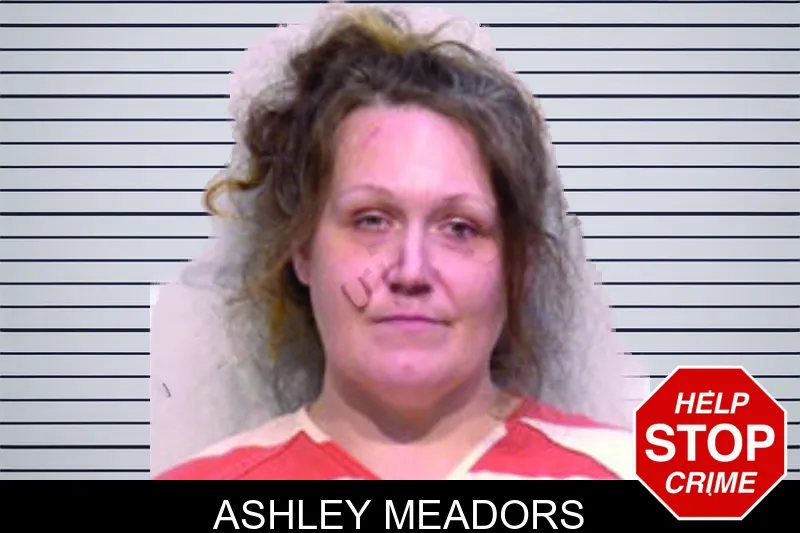 Ashley Meadors mugshot