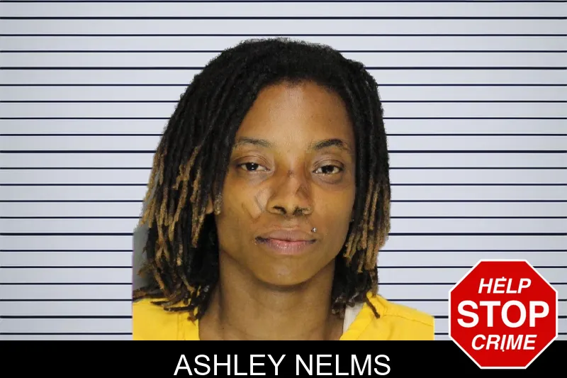 Ashley Nelms mugshot