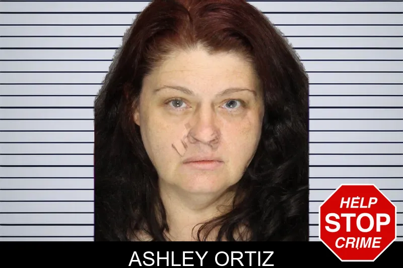 Ashley Ortiz mugshot