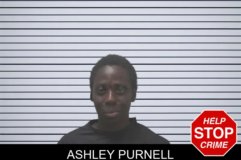 Ashley Purnell mugshot