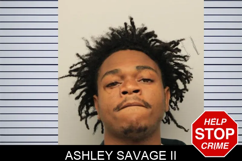 Ashley Savage II mugshot