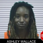 Ashley Wallace mugshot