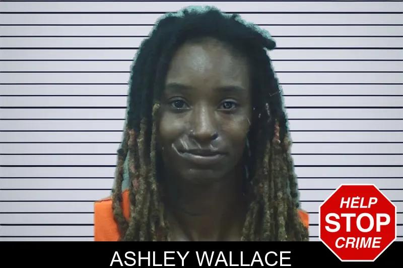 Ashley Wallace mugshot