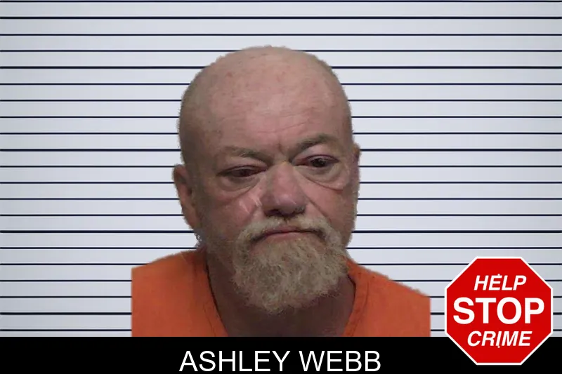 Ashley Webb mugshot