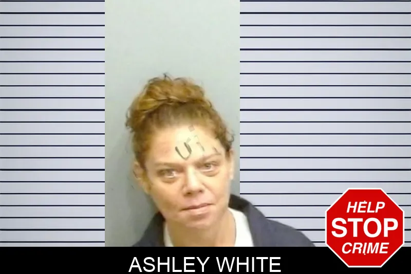 Ashley White mugshot
