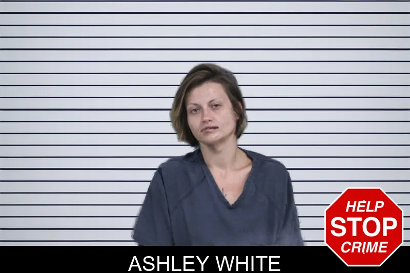 Ashley White mugshot