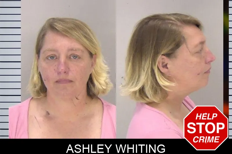 Ashley Whiting mugshot