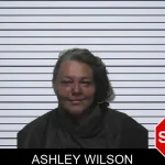 Ashley Wilson mugshot