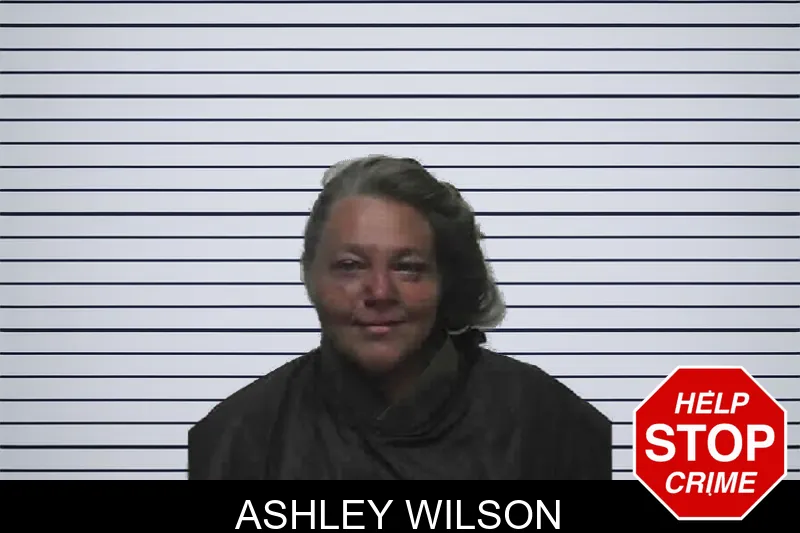 Ashley Wilson mugshot
