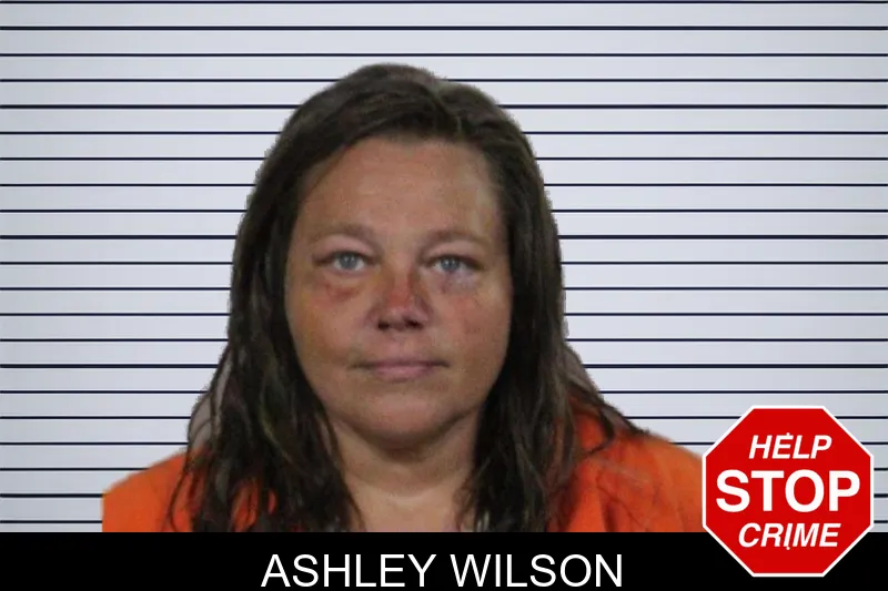 Ashley Wilson mugshot