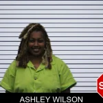 Ashley Wilson mugshot