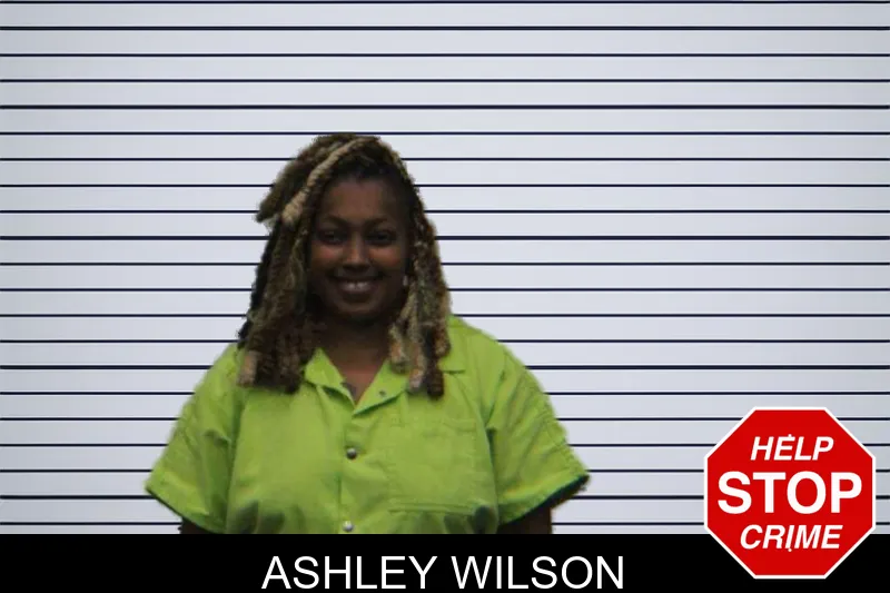 Ashley Wilson mugshot
