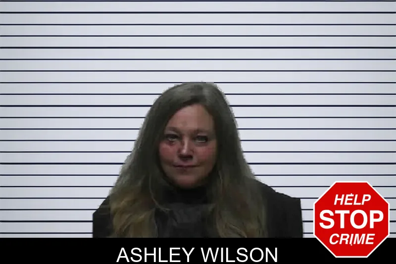 Ashley Wilson mugshot