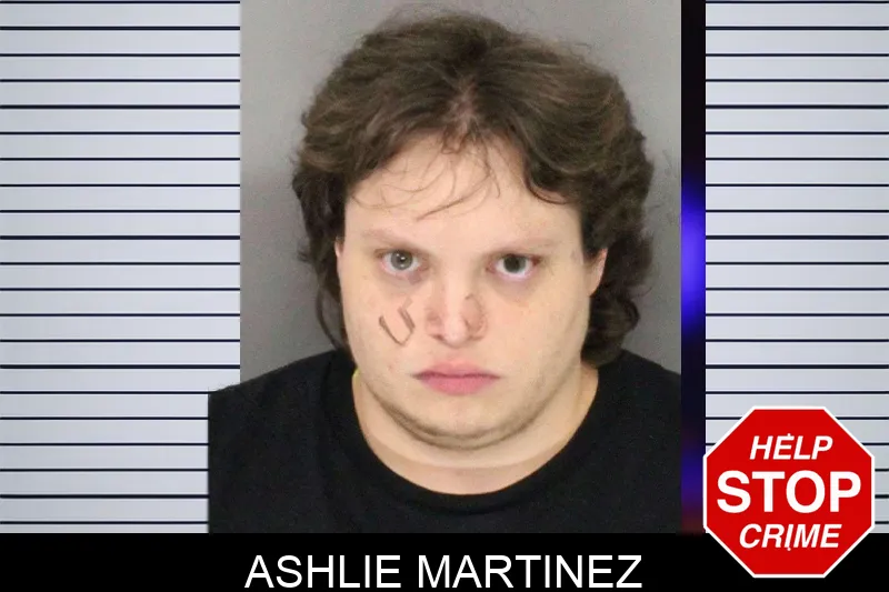 Ashlie Martinez mugshot