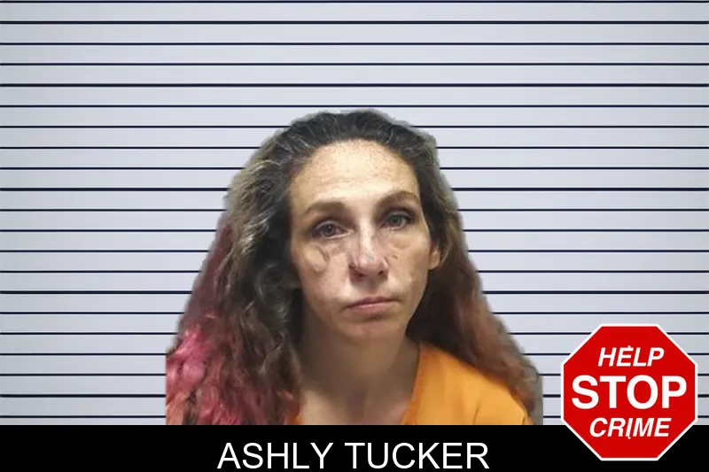 Ashly Tucker mugshot