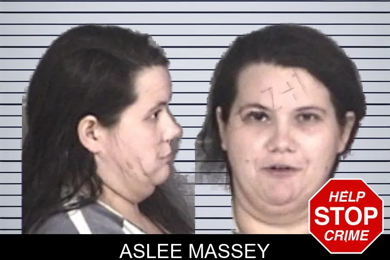 Aslee Massey mugshot