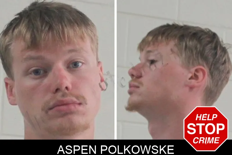 Aspen Polkowske mugshot