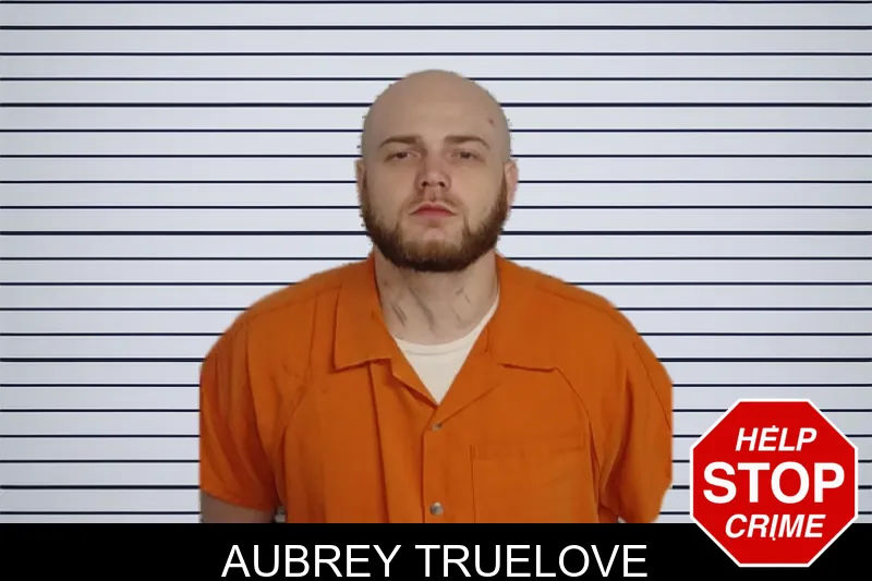 Aubrey Truelove mugshot