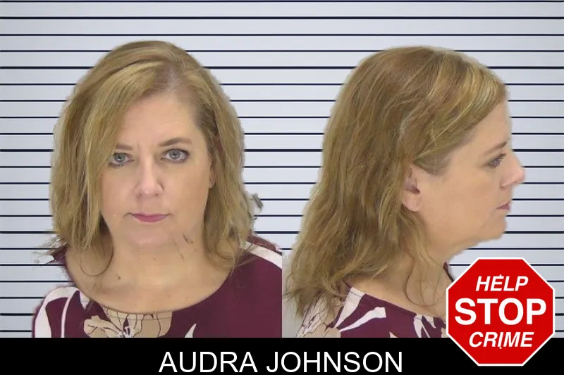 Audra Johnson mugshot