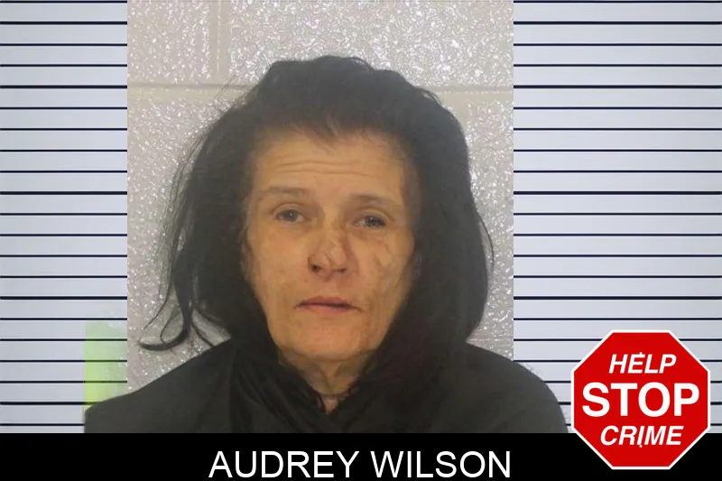 Audrey Wilson mugshot