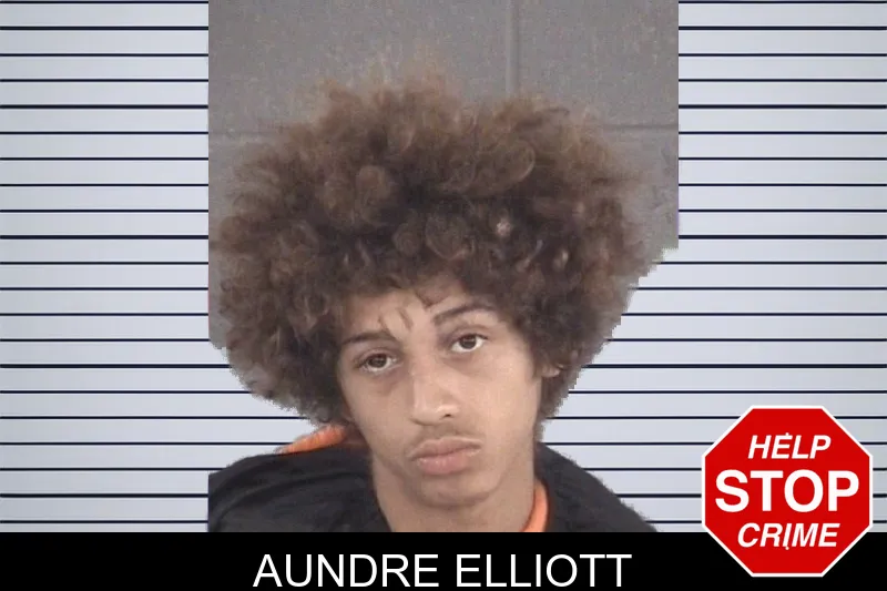 Aundre Elliott mugshot