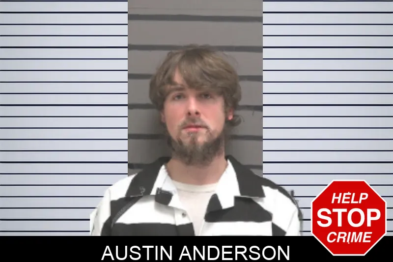 Austin Anderson mugshot
