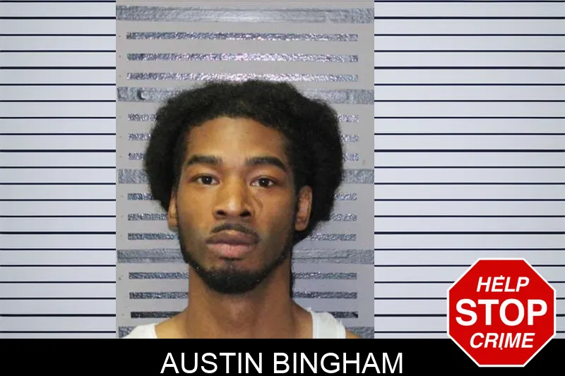 Austin Bingham mugshot