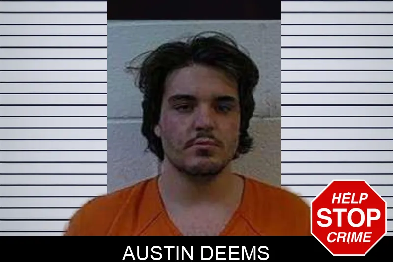 Austin Deems mugshot