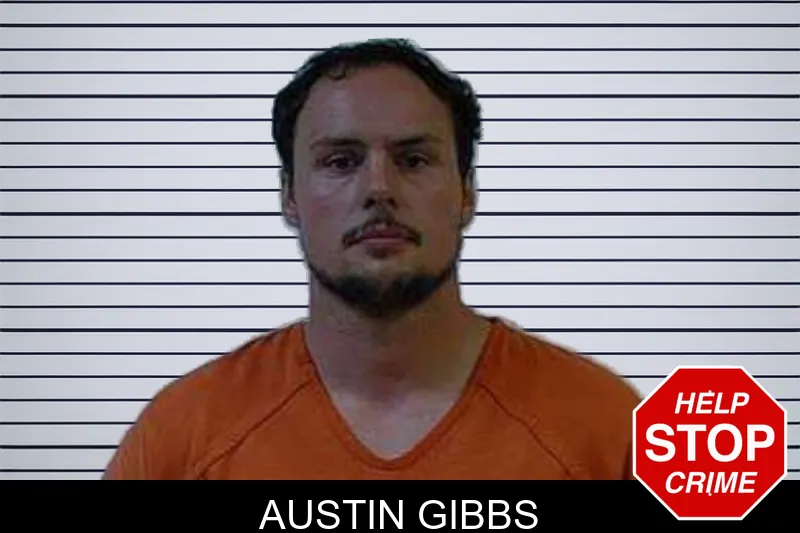 Austin Gibbs mugshot