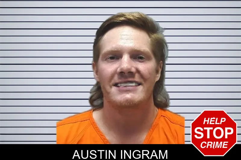 Austin Ingram mugshot