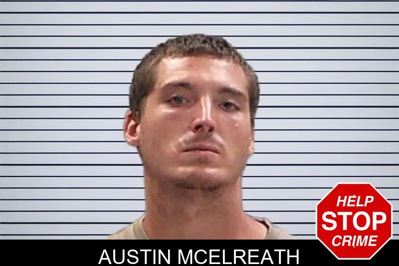 Austin McElreath mugshot