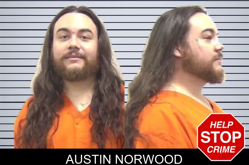 Austin Norwood mugshot