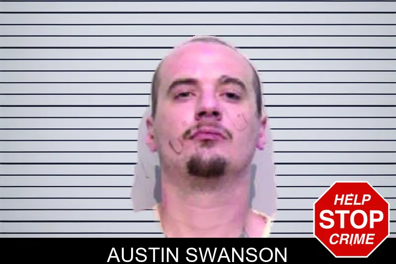 Austin Swanson mugshot