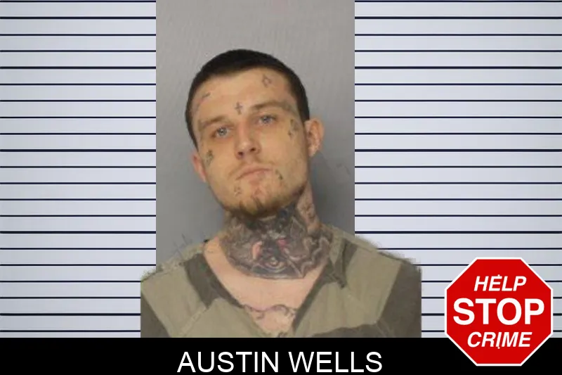 Austin Wells mugshot