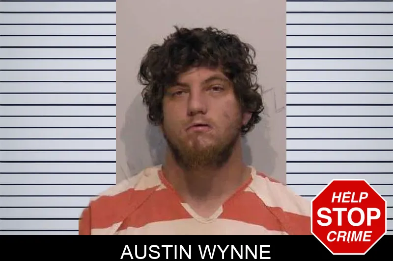 Austin Wynne mugshot