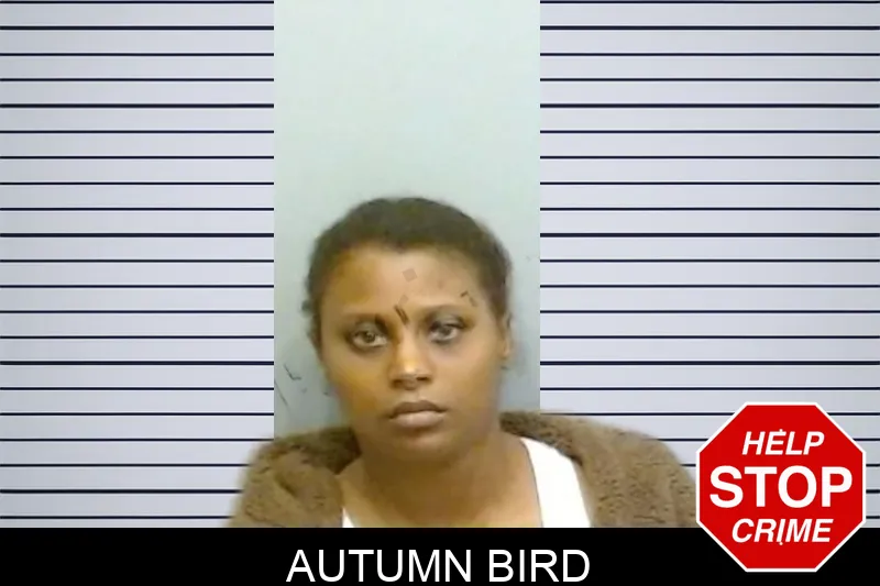 Autumn Bird mugshot