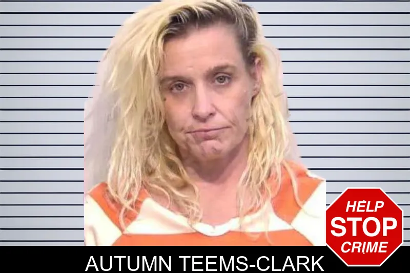 Autumn Teems-Clark mugshot