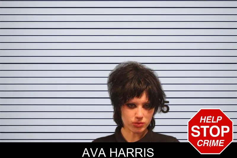 Ava Harris mugshot