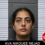 Ava Nikouee Nejad mugshot